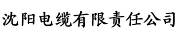 草莓视频色导航电缆厂logo